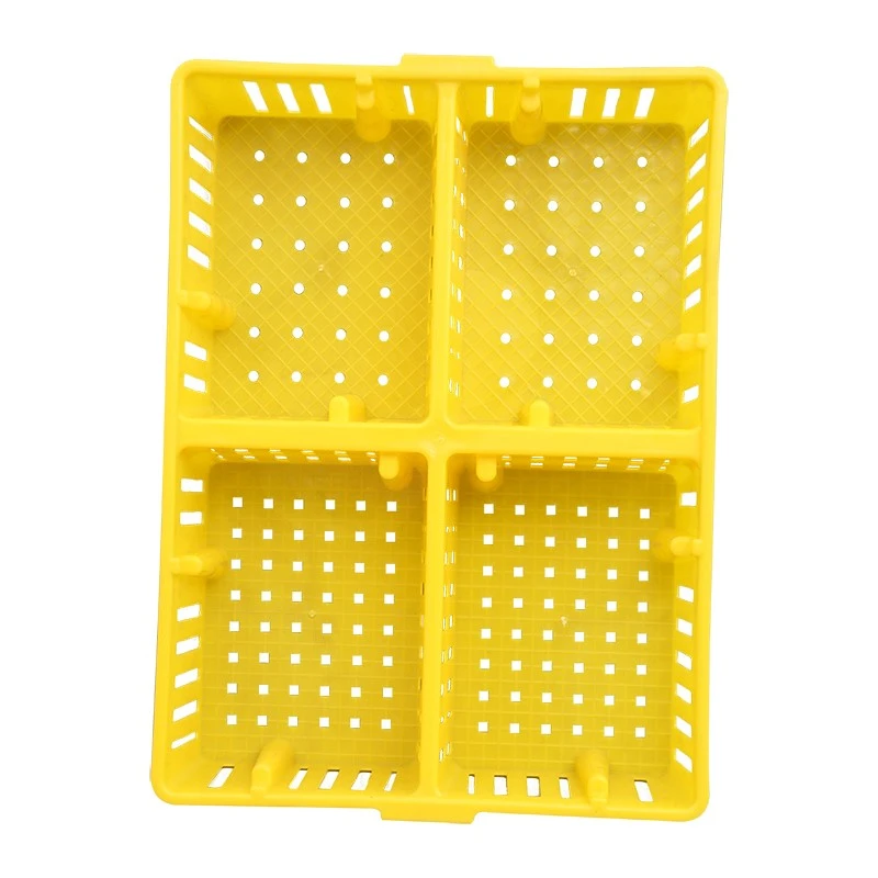 product-800-800