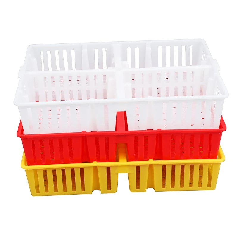 product-800-800