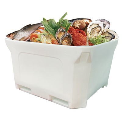 Plastikinis izoliacinis konteineris žvejybai